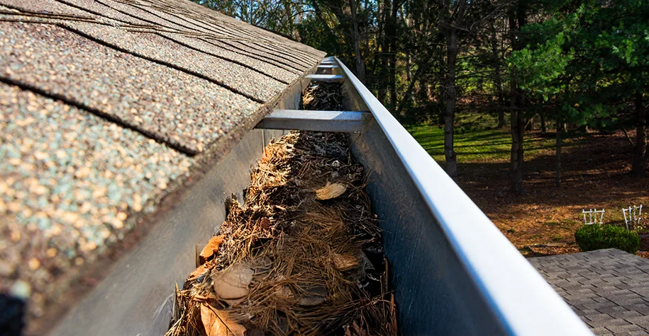 gutter before cleaning