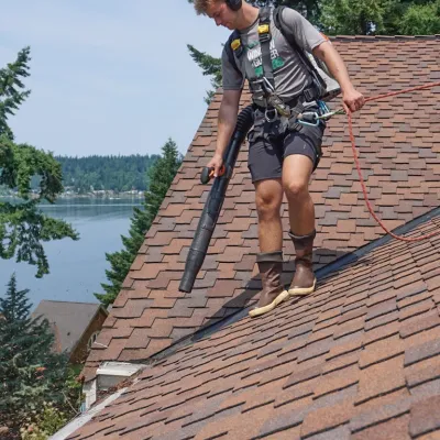 cleaning gutters and roof