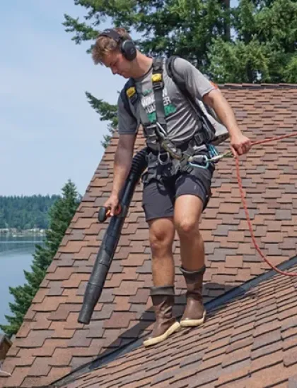 blowing debris off a roof